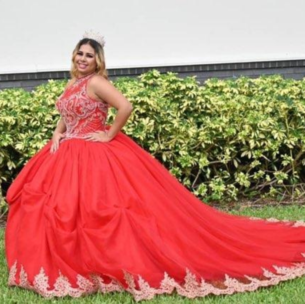 Quinceañera Dress size 10, with Slip